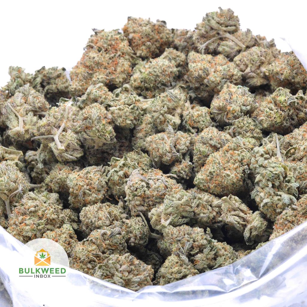 SUGAR-CAKE-online-dispensary-canada