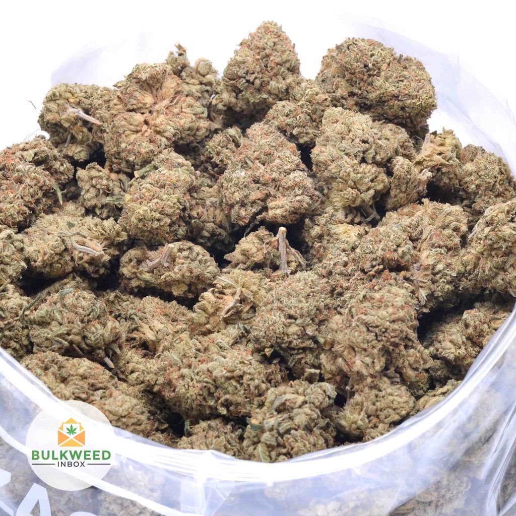 SUPER-SOUR-DIESEL-online-dispensary-canada