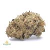 BLACK-ICE-cheap-weed-canada-2