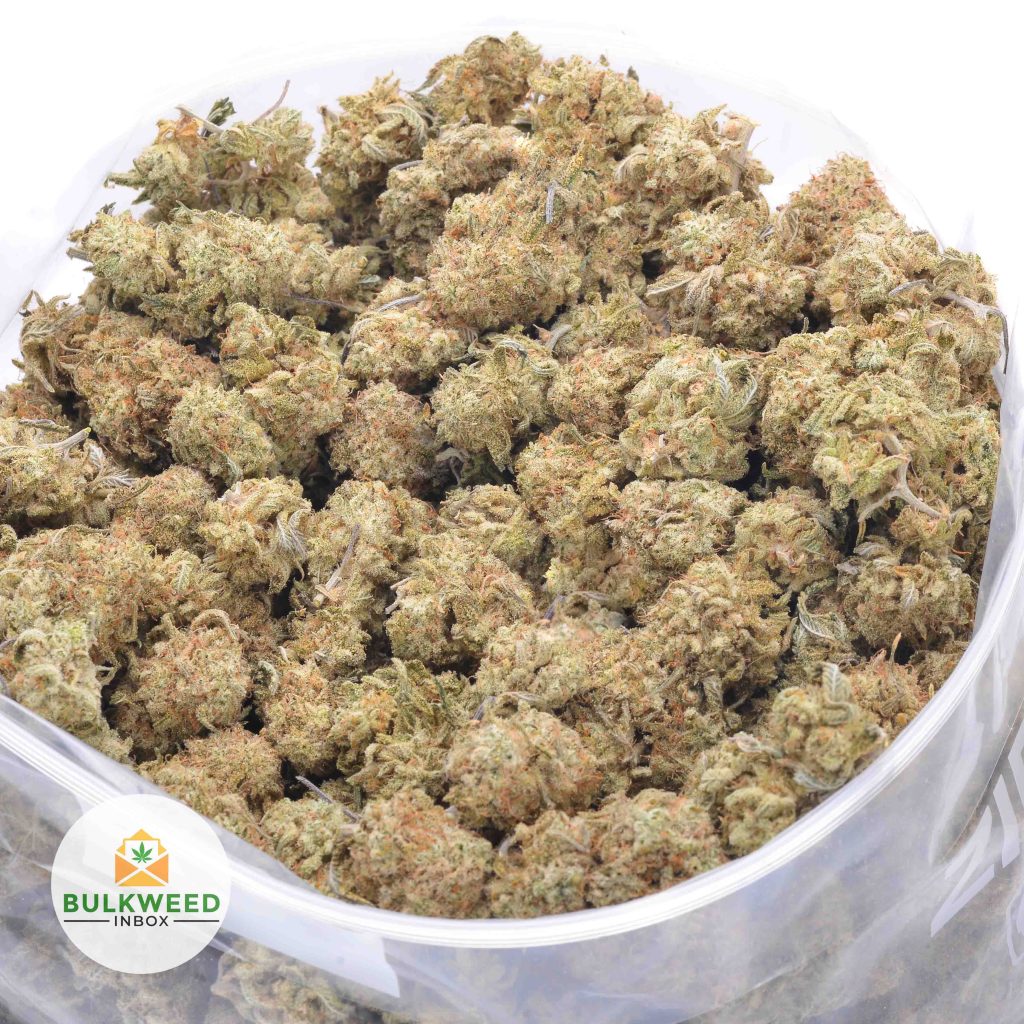 BLACK-ICE-online-dispensary-canada