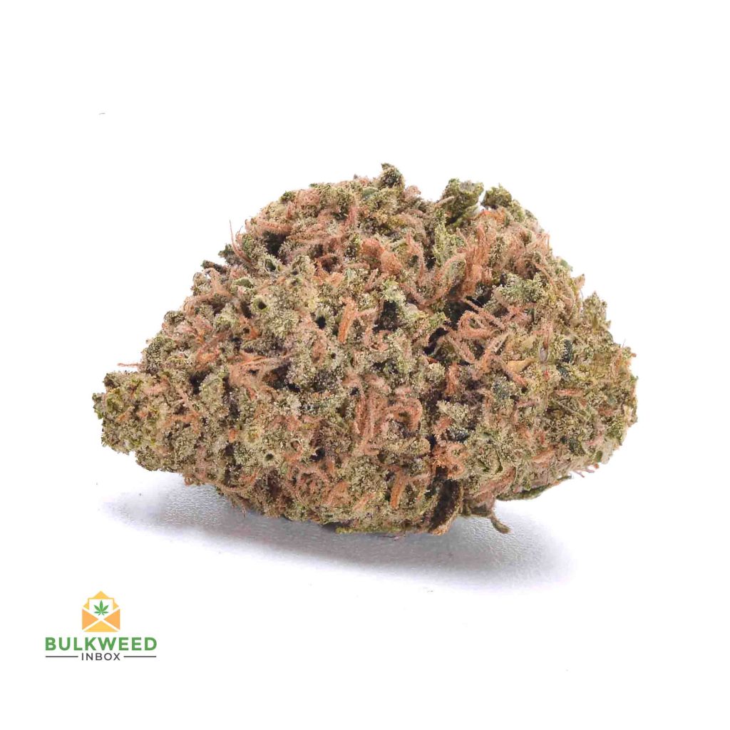 BLACK-MANGO-cheap-weed-canada-2