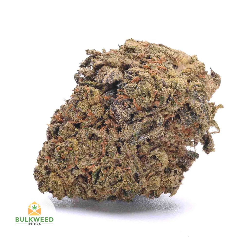 BLACK-RUNTZ-cheap-weed-canada-2