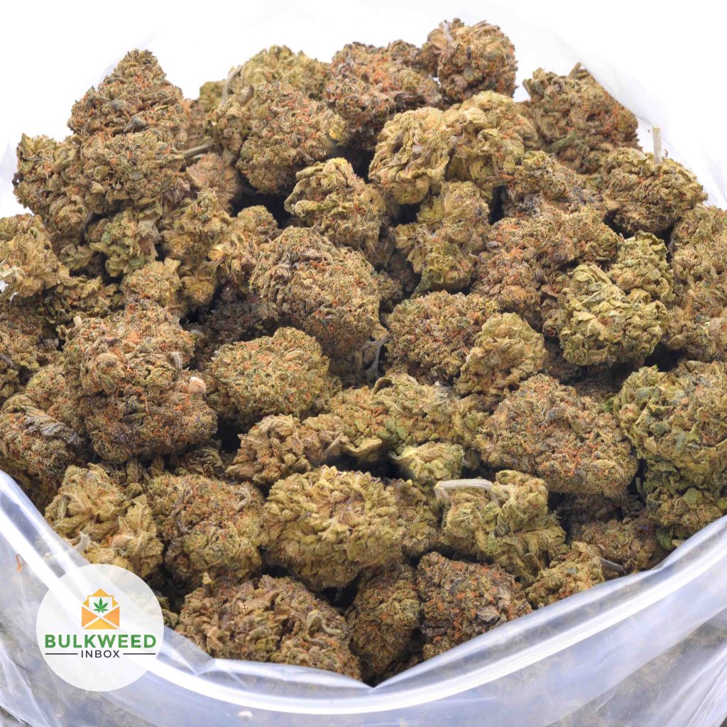 BLACK-RUNTZ-online-dispensary-canada