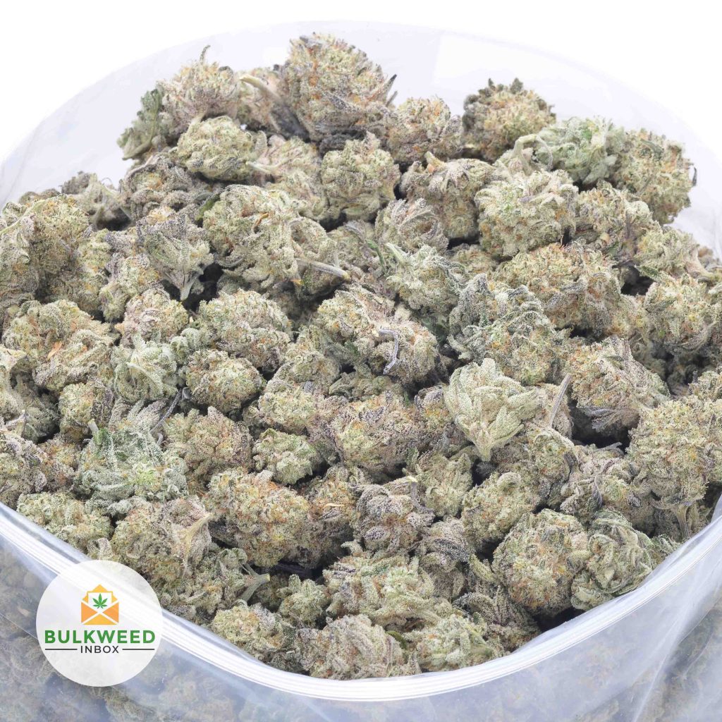 BLUEBERRY-ICE-POP-online-dispensary-canada