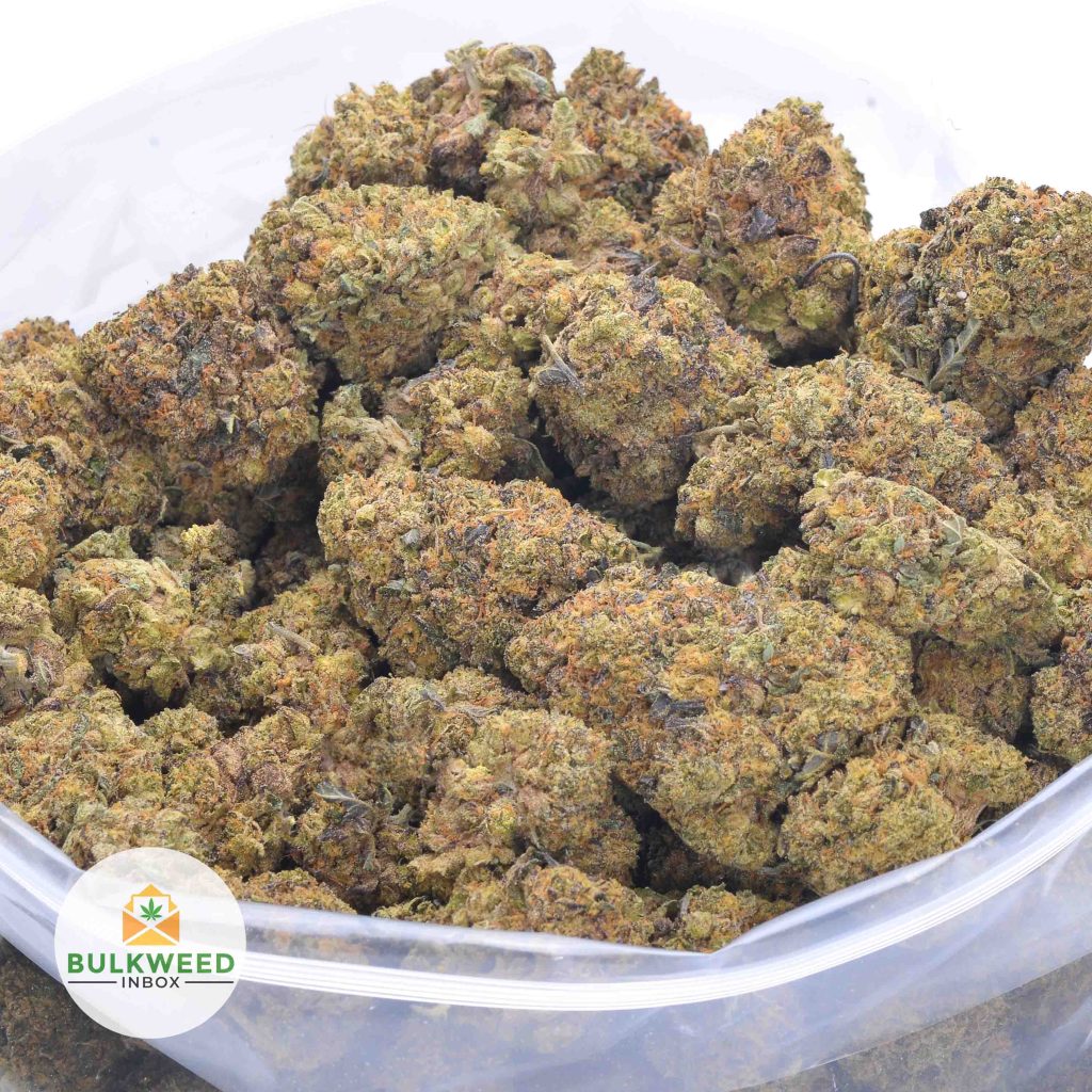 BLUEBERRY-KUSH-SPACE-CRAFT-online-dispensary-canada