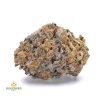 BLUEBERRY-PIE-cheap-weed-canada-2