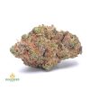 BLUEBERRY-SKUNK-cheap-weed-canada-2