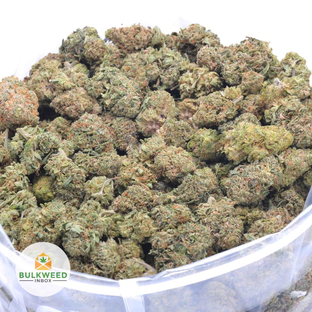 BUBBLE-GUM-online-dispensary-canada