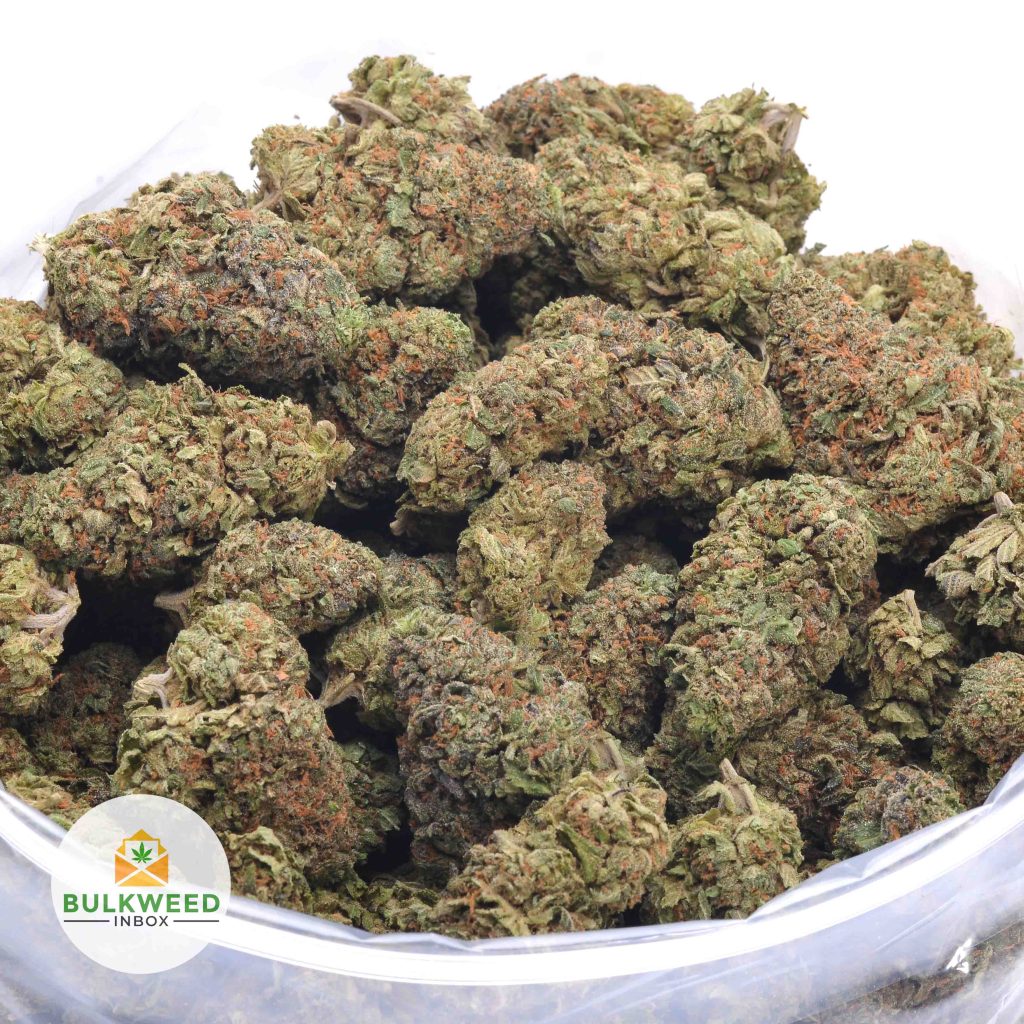 GRAPE-RUNTZ-online-dispensary-canada