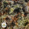 JACK-HERER-cheap-weed-2