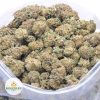 JACK-HERER-online-dispensary-canada