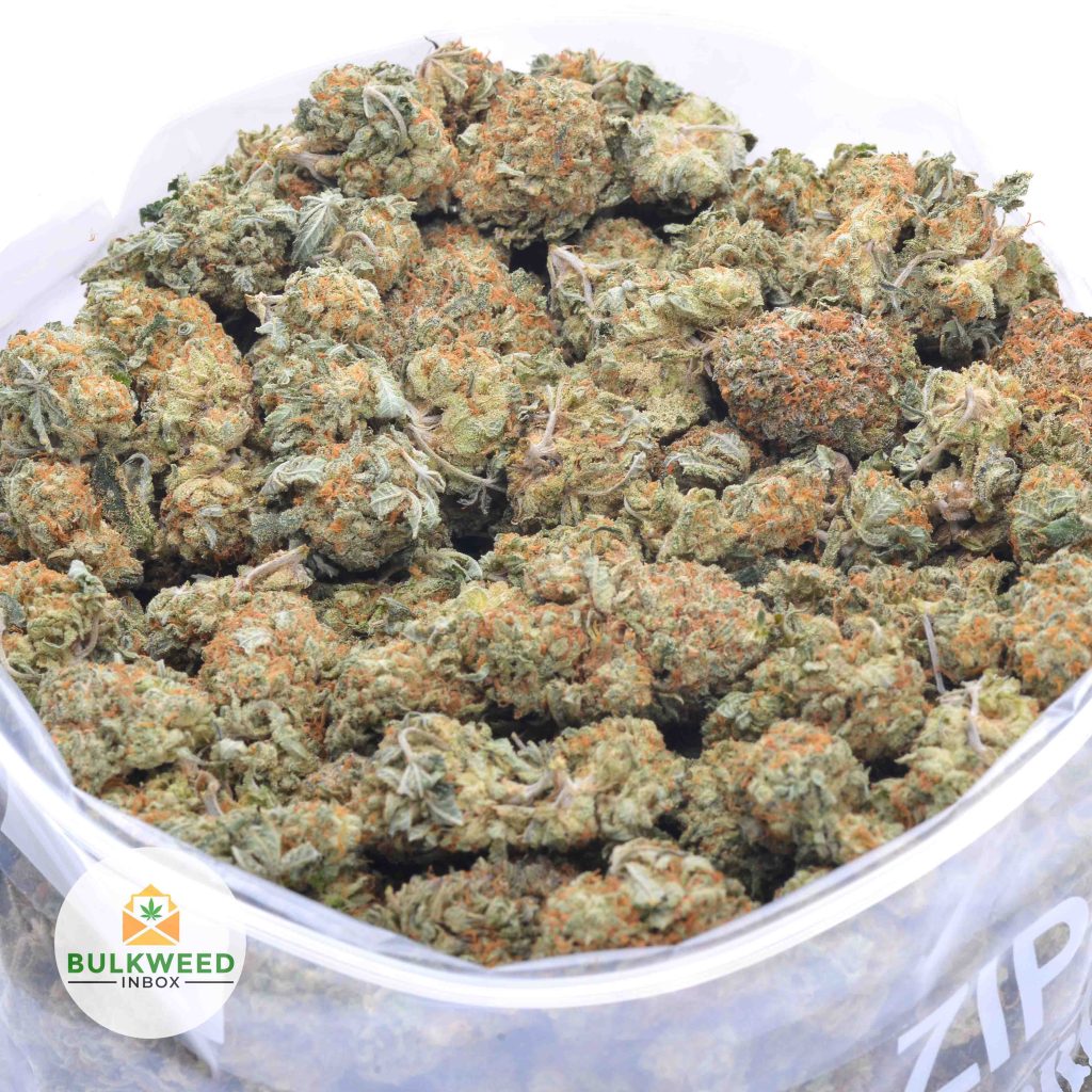 ORANGE-CREAMSICLE-online-dispensary-canada