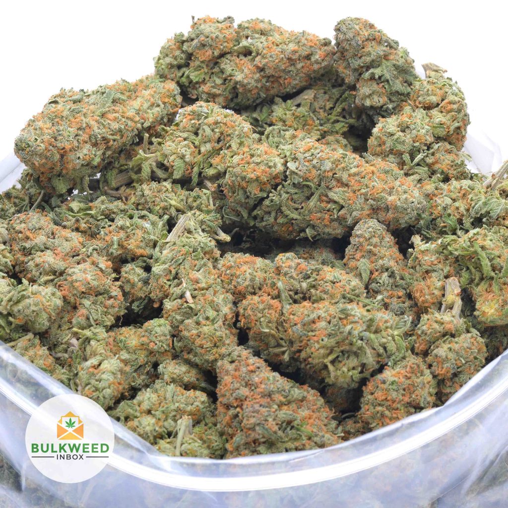 PINE-BERRY-online-dispensary-canada