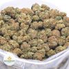 SKUNK-KUSH-online-dispensary-canada