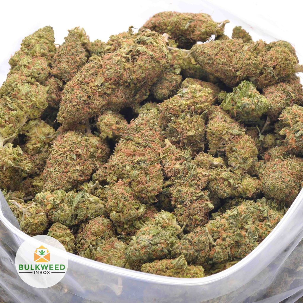 STICKY-LARRY-online-dispensary-canada