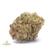 TROPICANA-COOKIES-cheap-weed-canada-2