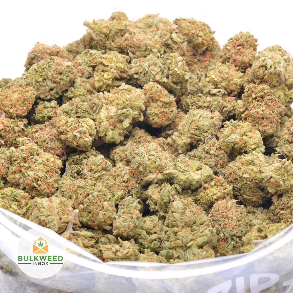 TROPICANA-COOKIES-online-dispensary-canada