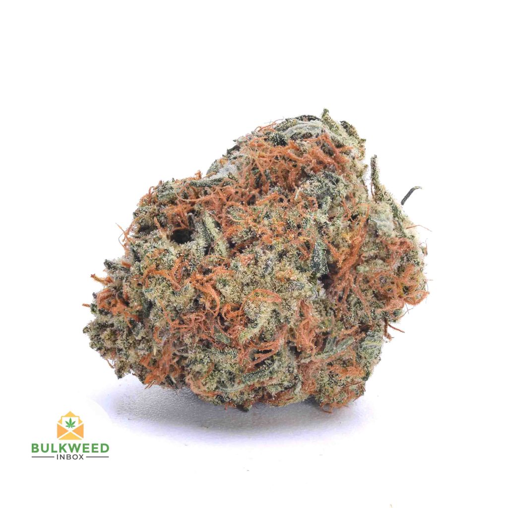 ACAPULCO-GOLD-cheap-weed-canada-2-1