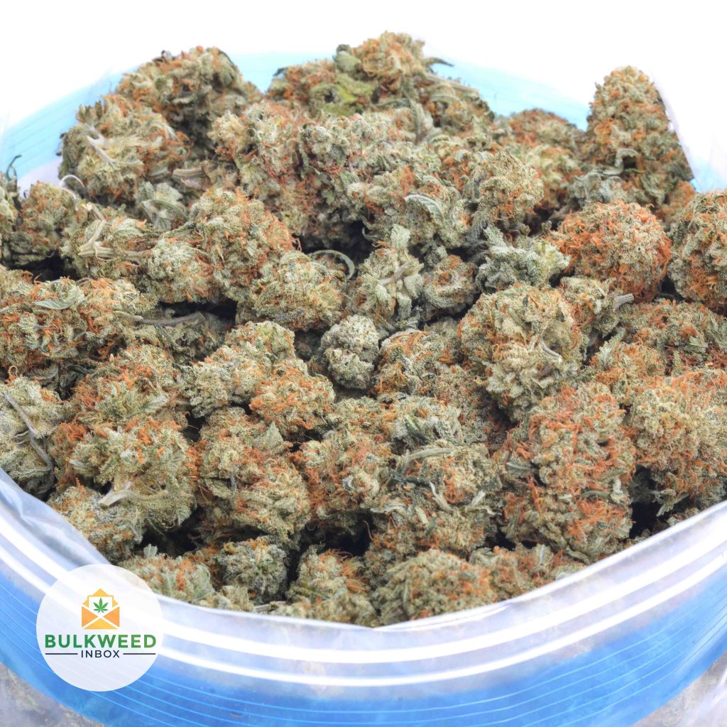 ACAPULCO-GOLD-online-dispensary-canada-1