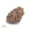 BLACK-SKUNK-cheap-weed-canada-2