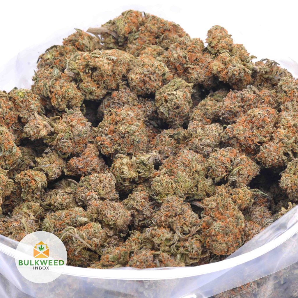 BLACK-SKUNK-online-dispensary-canada