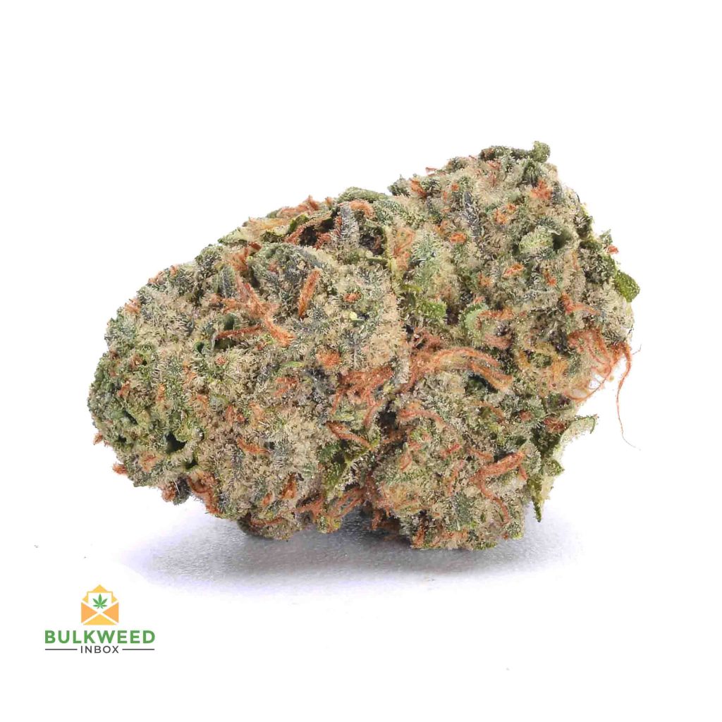 BLUE-DYNAMITE-cheap-weed-canada-2