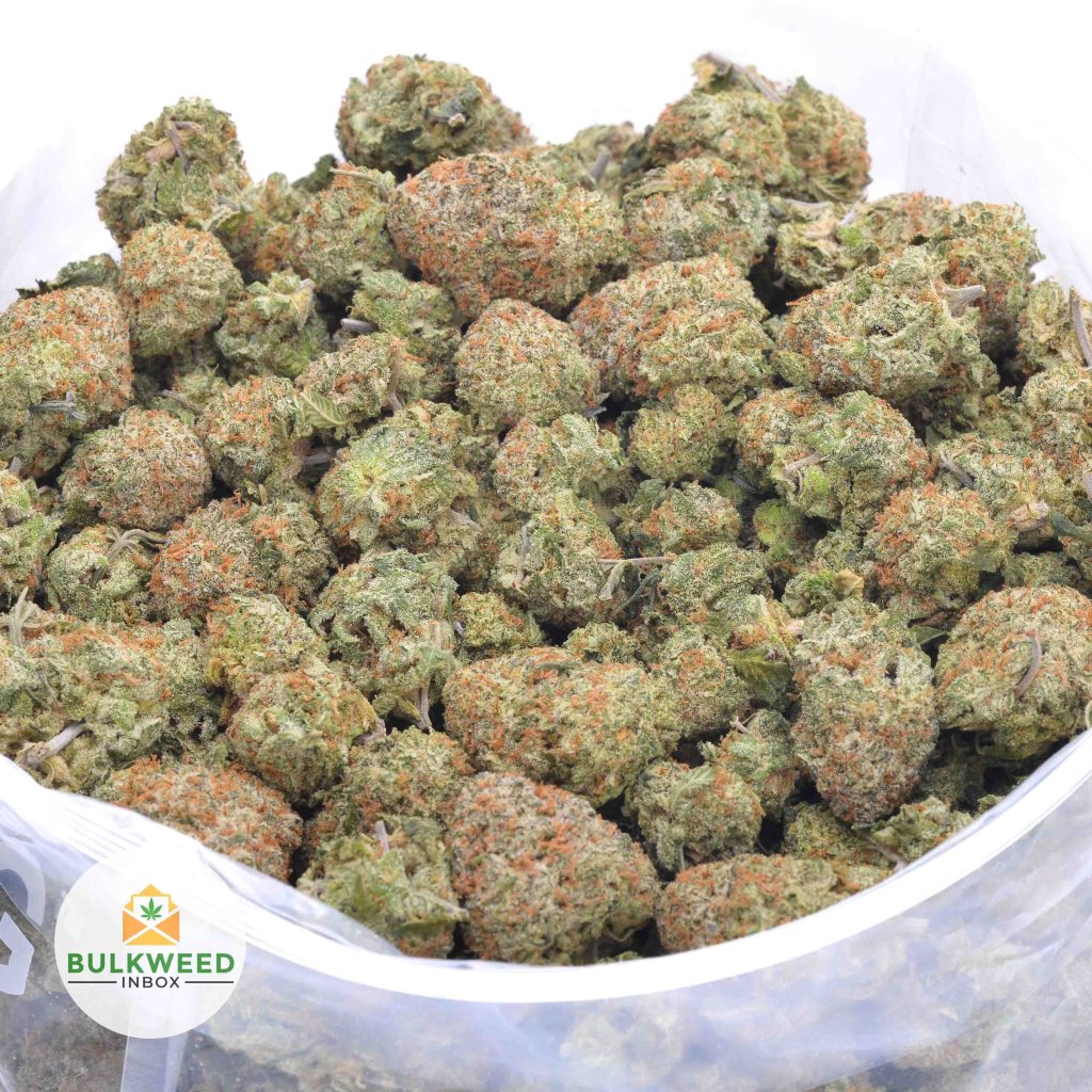 CHEESE-QUAKE-online-dispensary-canada