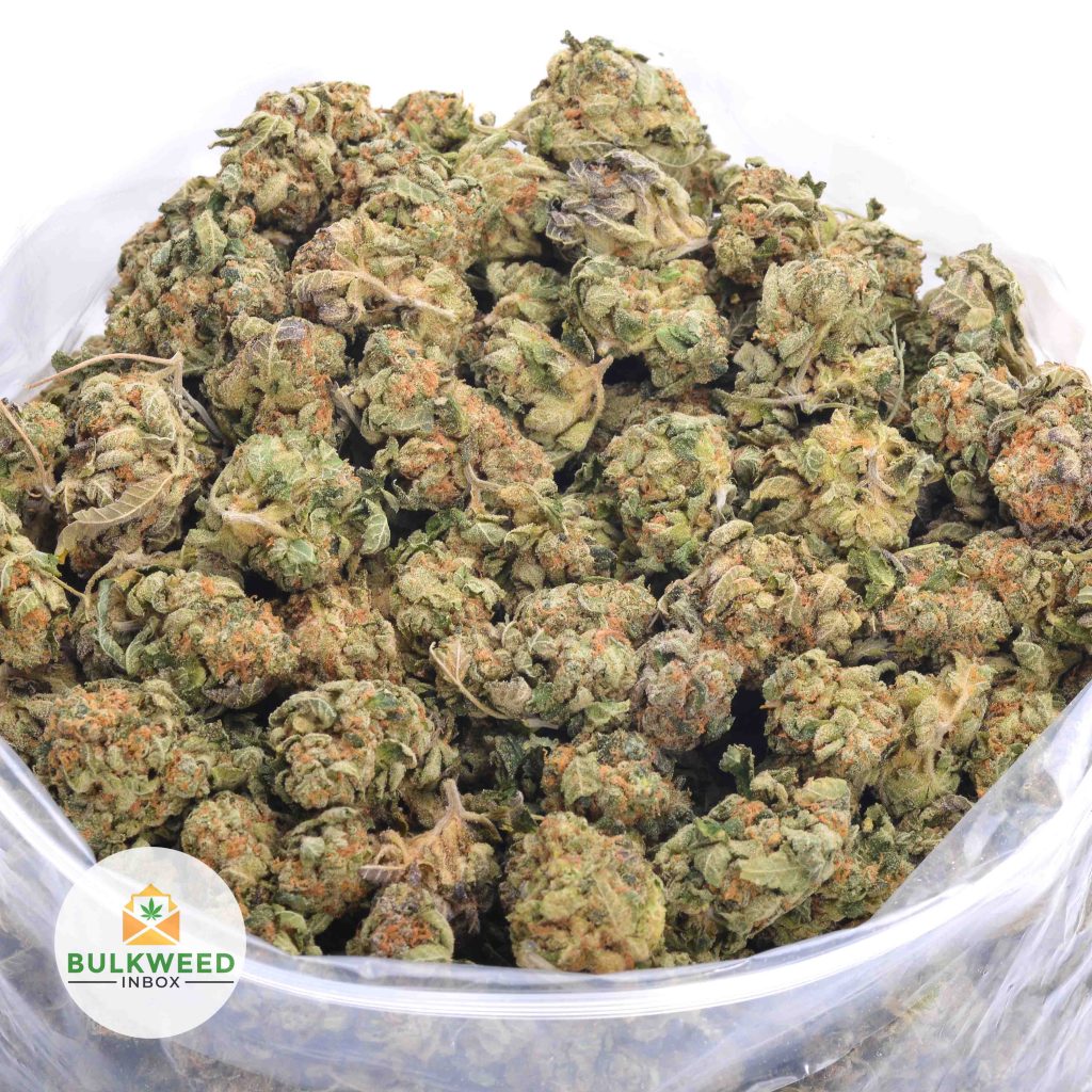 DOLATO-online-dispensary-canada