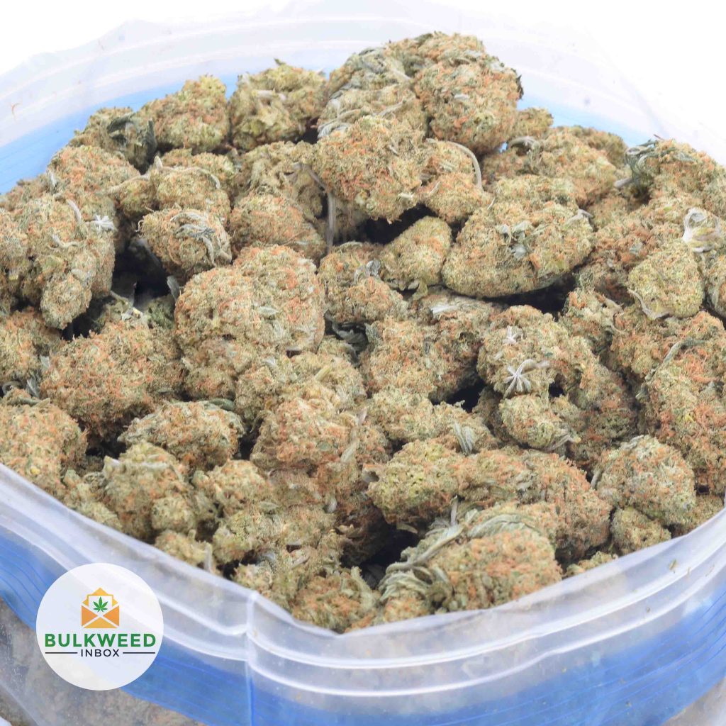 DURBAN-HAZE-online-dispensary-canada