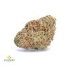 GUAVA-cheap-weed-canada-2