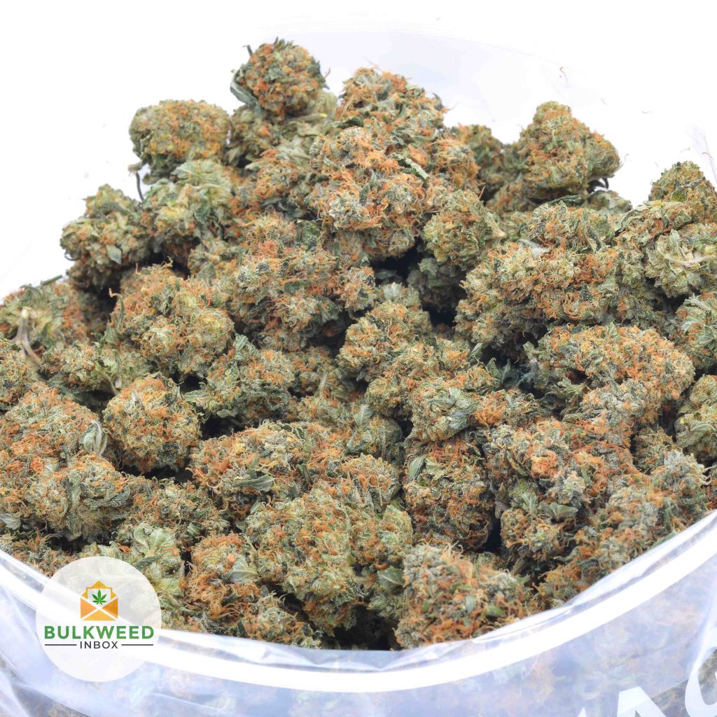 ISLAND-PINK-KUSH-online-dispensary-canada