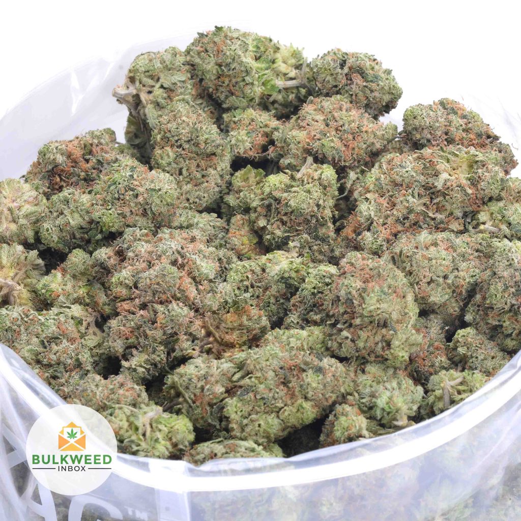 KING-KUSH-online-dispensary-canada