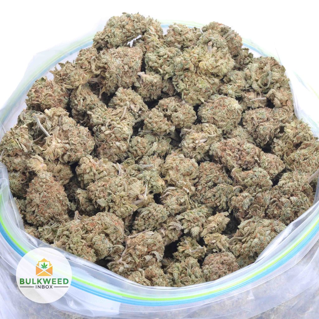 MIMOSA-online-dispensary-canada