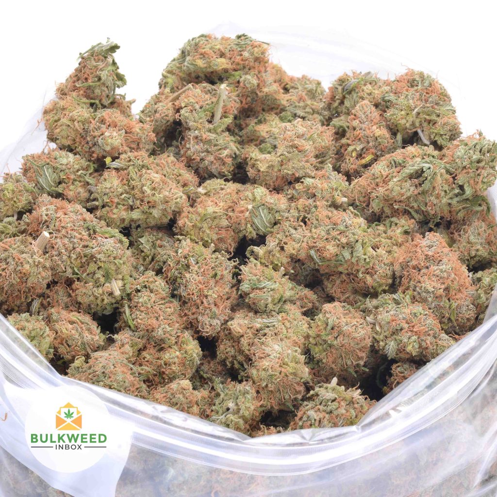 PINEAPPLE-COOKIES-online-dispensary-canada