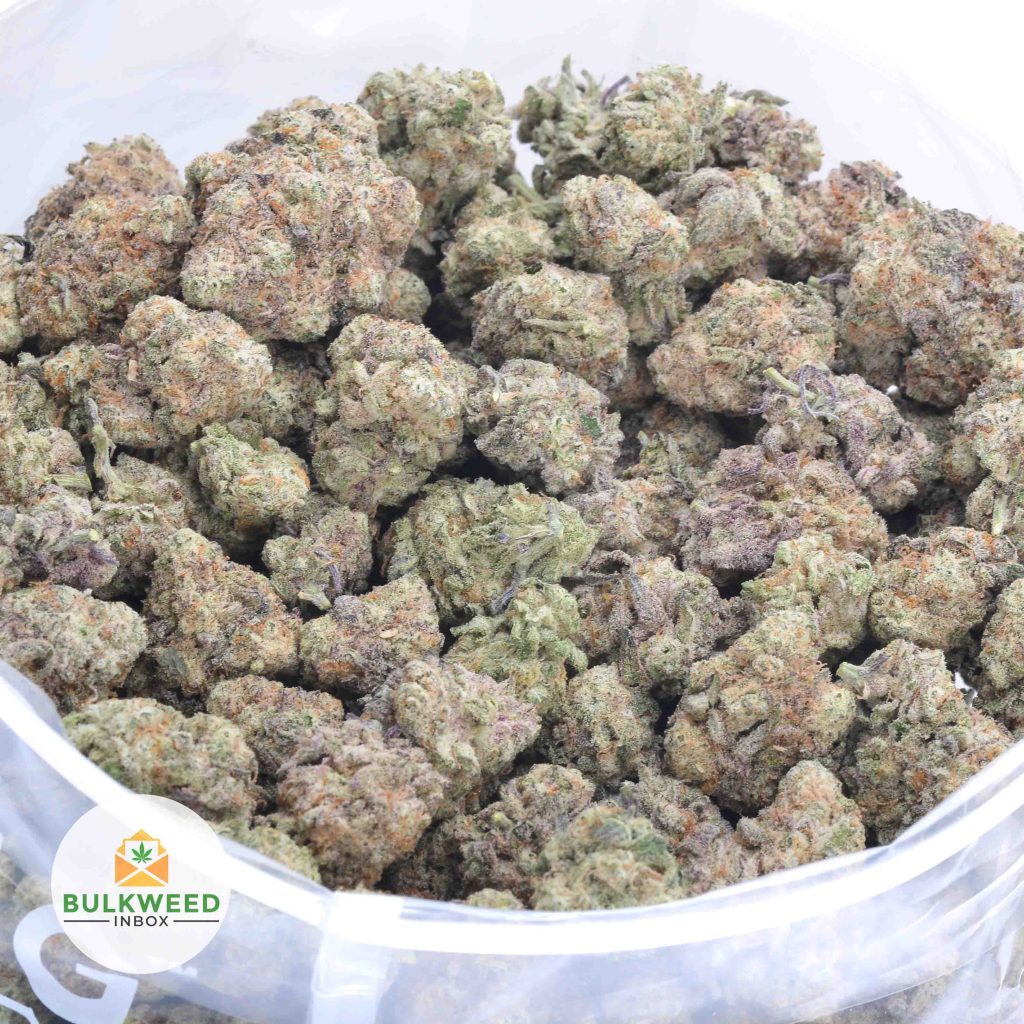 PURPLE-HAZE-online-dispensary-canada