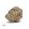 SWEET-GAS-cheap-weed-canada-2