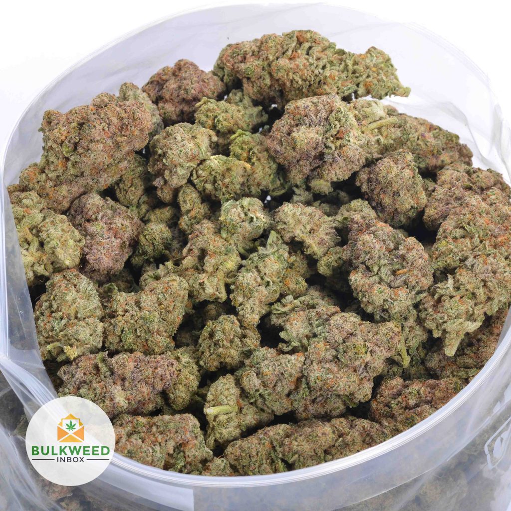 TROPIC-THUNDER-online-dispensary-canada