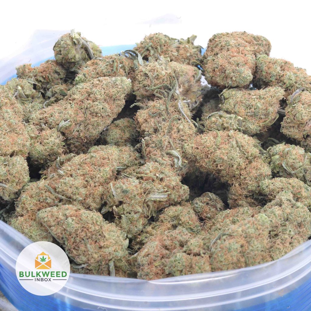 AMNESIA-HAZE-online-dispensary-canada