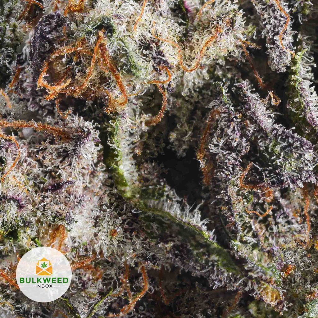 BLUEBERRY-MUFFIN-AAA2