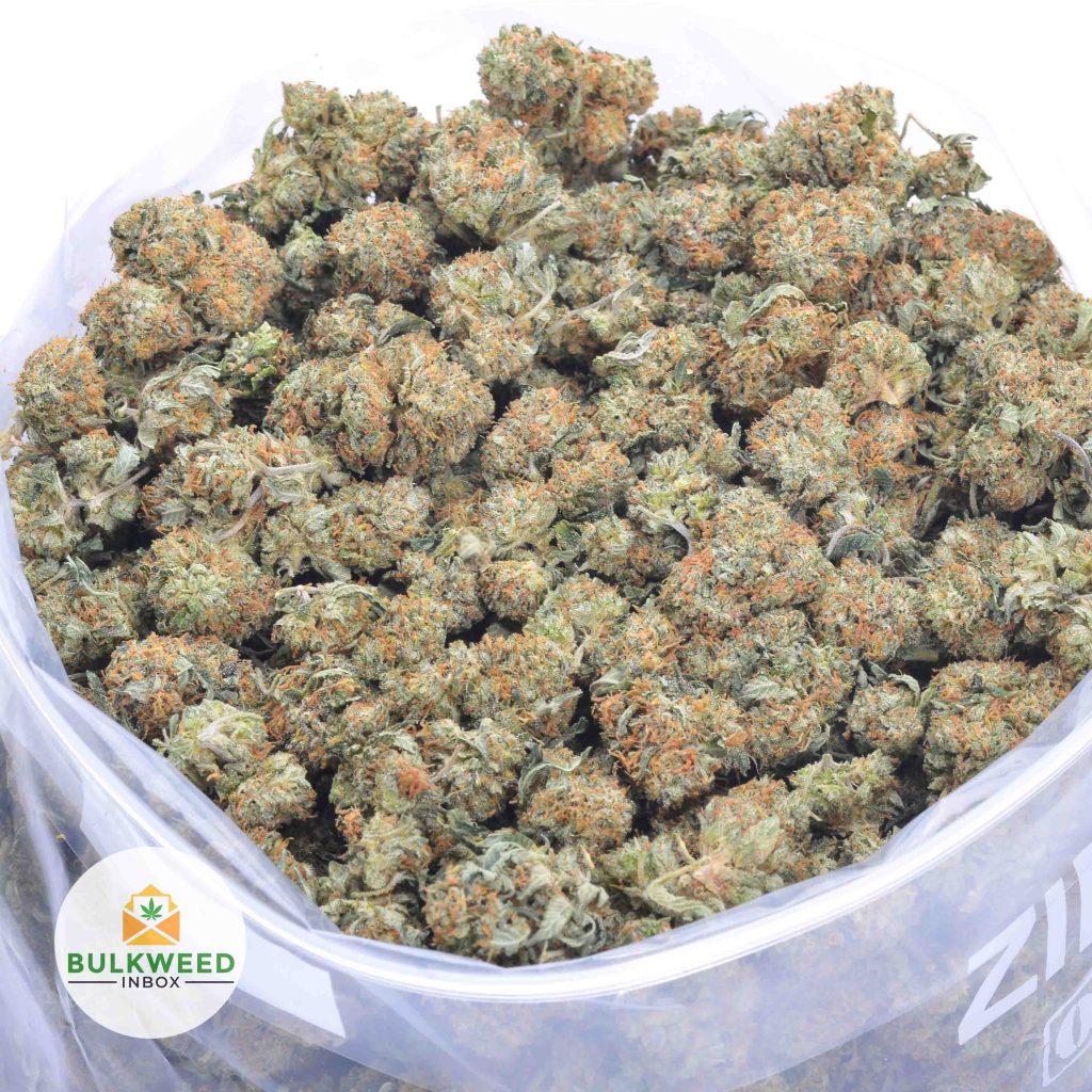 CALIFORNIA-KUSH-online-dispensary-canada