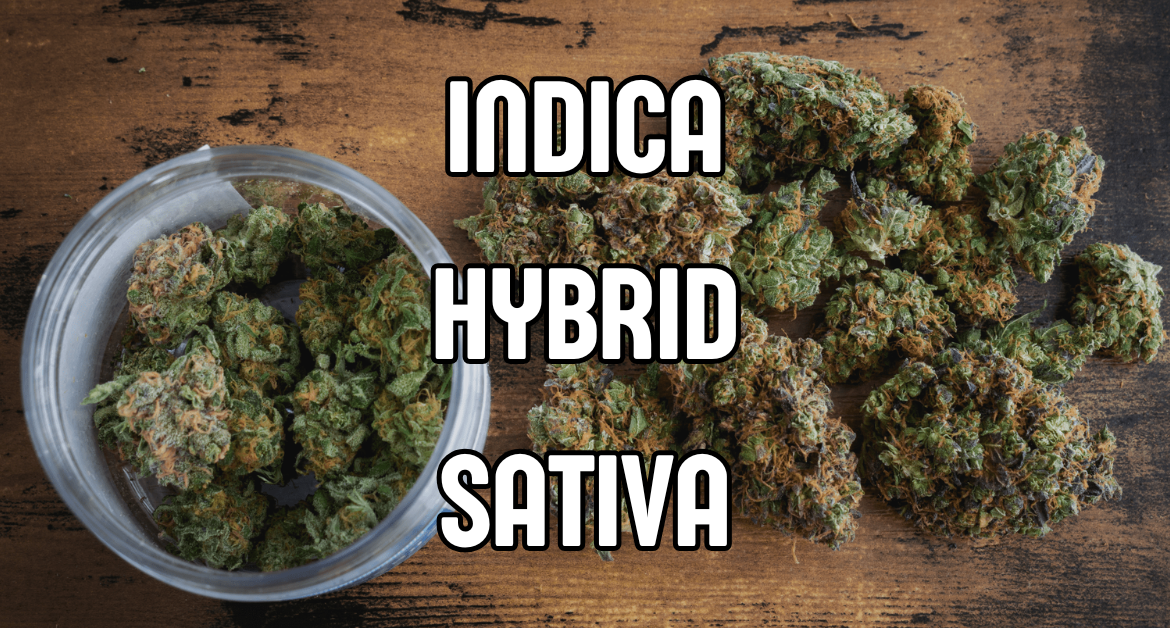 INDICA HYBRID SATIVA