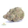 JACK-HERER-cheap-2weed-canada-2