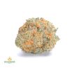 MOBY-DICK-cheap-weed-canada-2