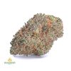 SOPHIE_S-BREATH-cheap-weed-canada-2