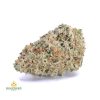 WHITE-RUNTZ-cheap-weed-canada-2