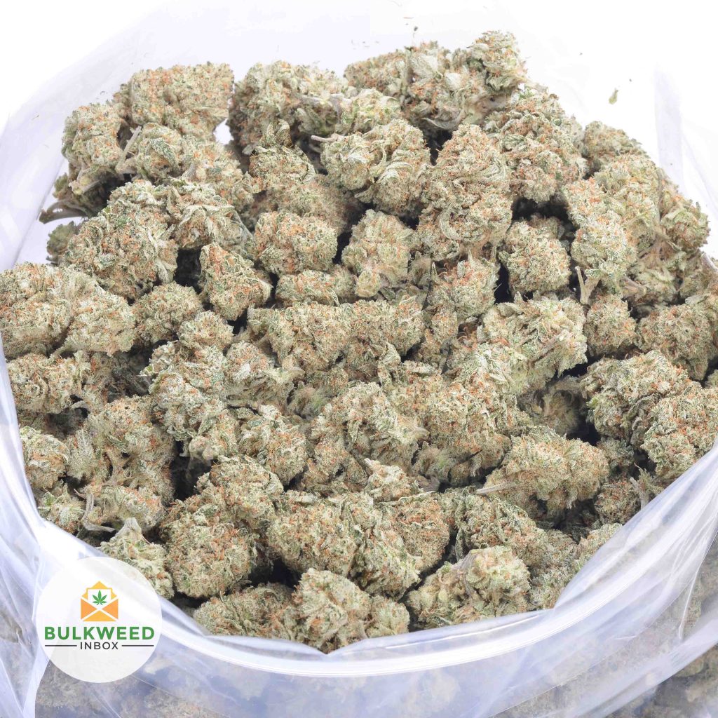 WHITE-RUNTZ-online-dispensary-canada