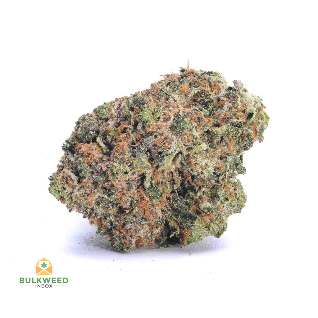 BLUE-DIESEL-AAA1-2