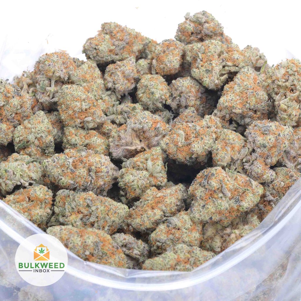 BLUEBERRY-HAZE-BBAAA-2