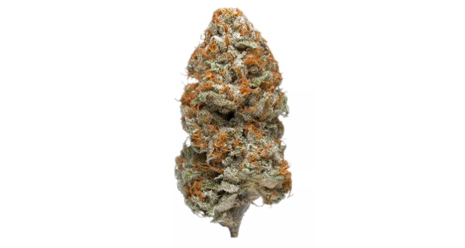 Highest THC Indica strains are known for inducing an intense wave of relaxation and promoting a sense of euphoria. 