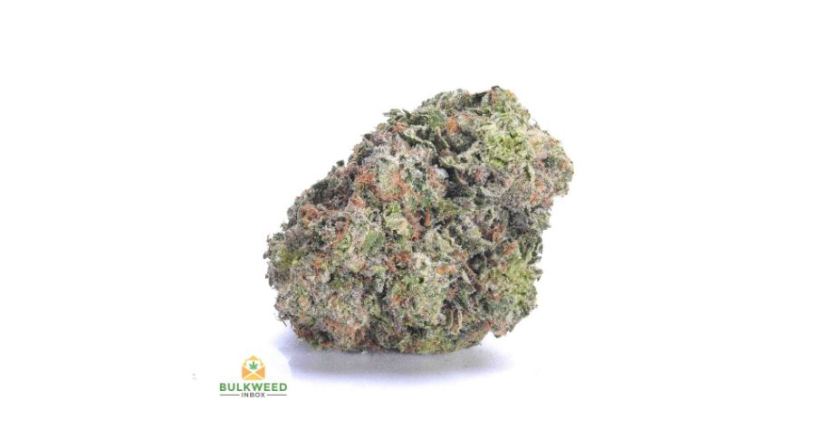 Blue Fin Tuna Kush is a potent indica strain with an aroma and taste so delectable you'll never forget it. 